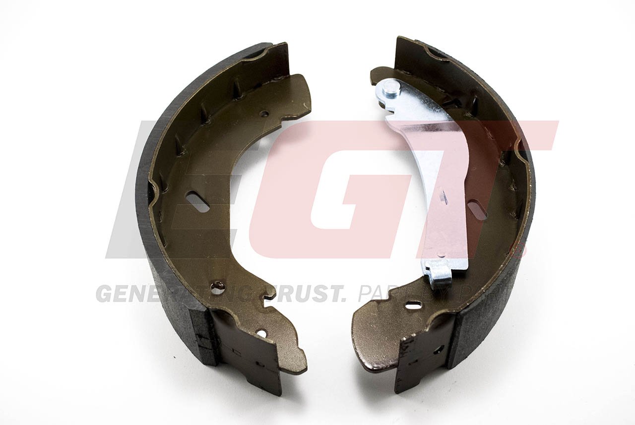 Brake shoe set (Rear axle)  Art. 420001IEGT