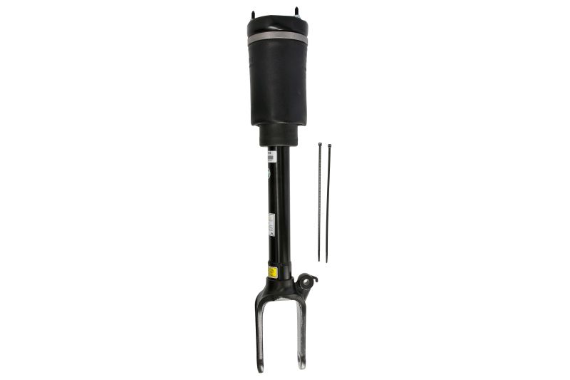 Air Suspension Strut (Front axle)  Art. AS3005