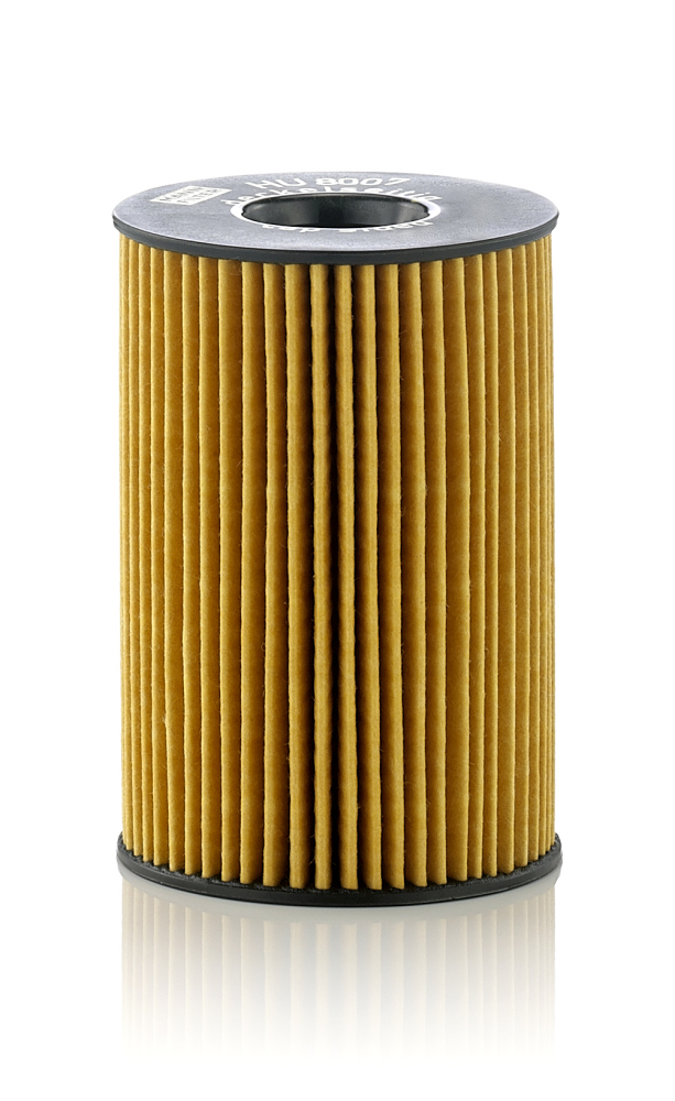 Oil Filter  Art. HU8007Z