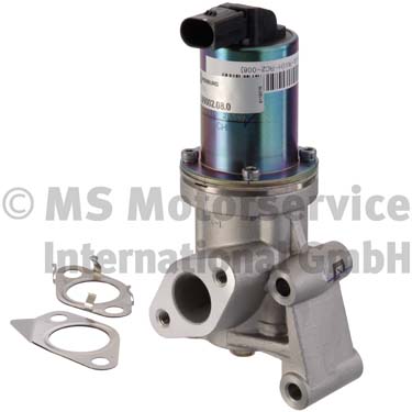 EGR Valve (555126)  Art. 709002080