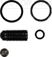 Repair Kit, unit injector  Art. 154211901