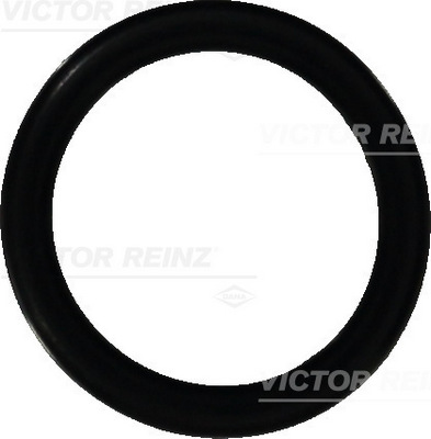 Seal ring (21.55)  Art. 407647300