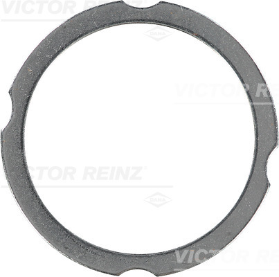 Gasket, cylinder head (3)  Art. 613826000