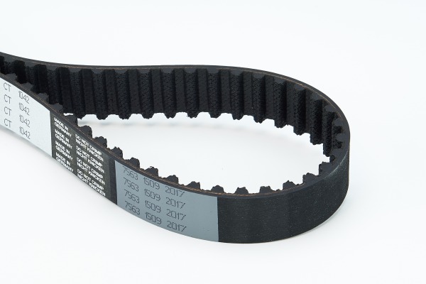 Timing Belt (78)  Art. CT1042