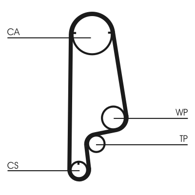 Timing Belt (Rear axle)  Art. CT1070