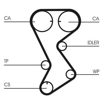 Timing Belt (Rear axle)  Art. CT1144