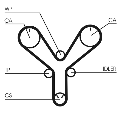 Timing Belt (Front axle)  Art. CT1147