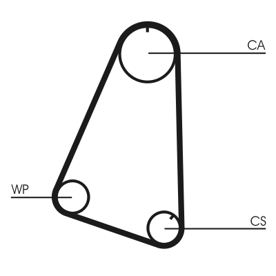 Timing Belt (Pulley side)  Art. CT504