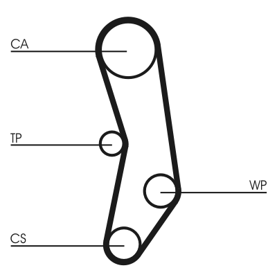 Timing Belt (Rear axle)  Art. CT515