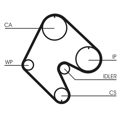 Timing Belt (In front)  Art. CT529