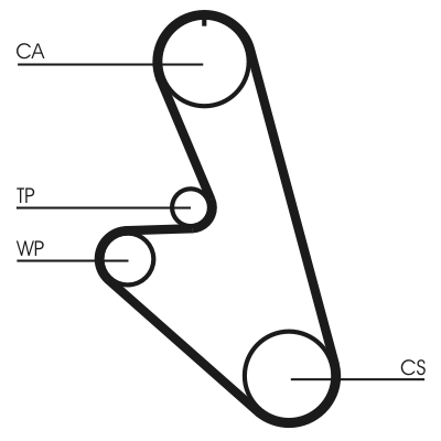 Timing Belt (Pulley side)  Art. CT959