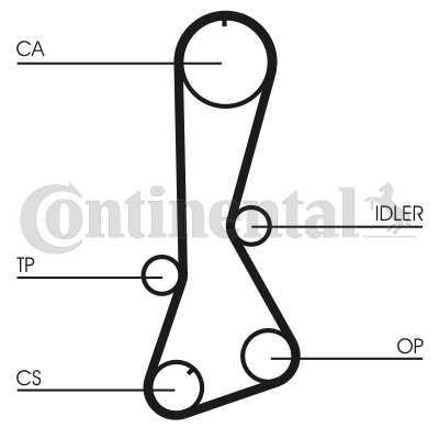 Timing Belt (Rear axle)  Art. CT695