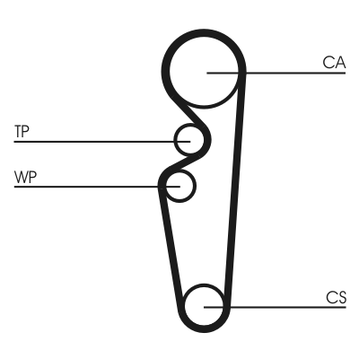 Timing Belt (Front axle)  Art. CT729