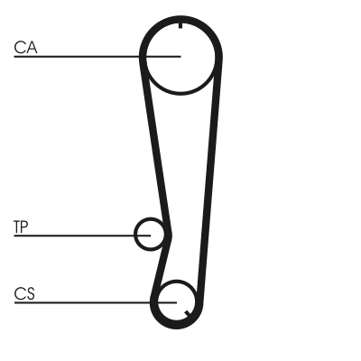 Timing Belt (Rear axle)  Art. CT788