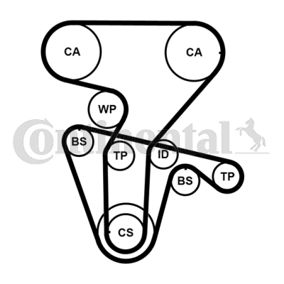 Water Pump & Timing Belt Kit  Art. CT877WP4PRO