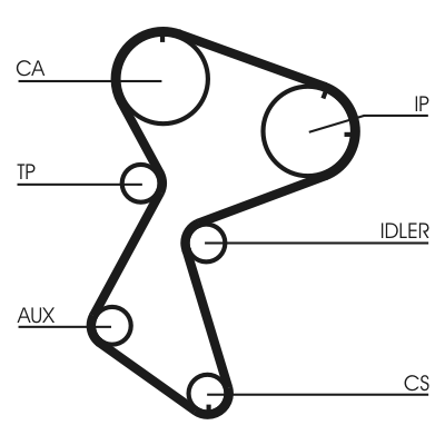 Timing Belt (Forward, left)  Art. CT966