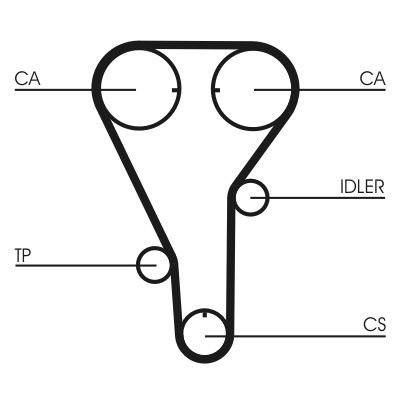 Timing Belt (Rear axle)  Art. CT972