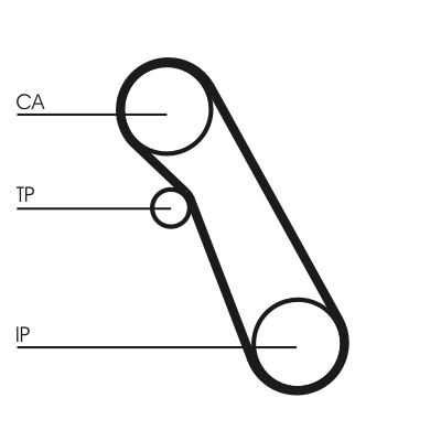 Water Pump & Timing Belt Kit  Art. CT983WP1