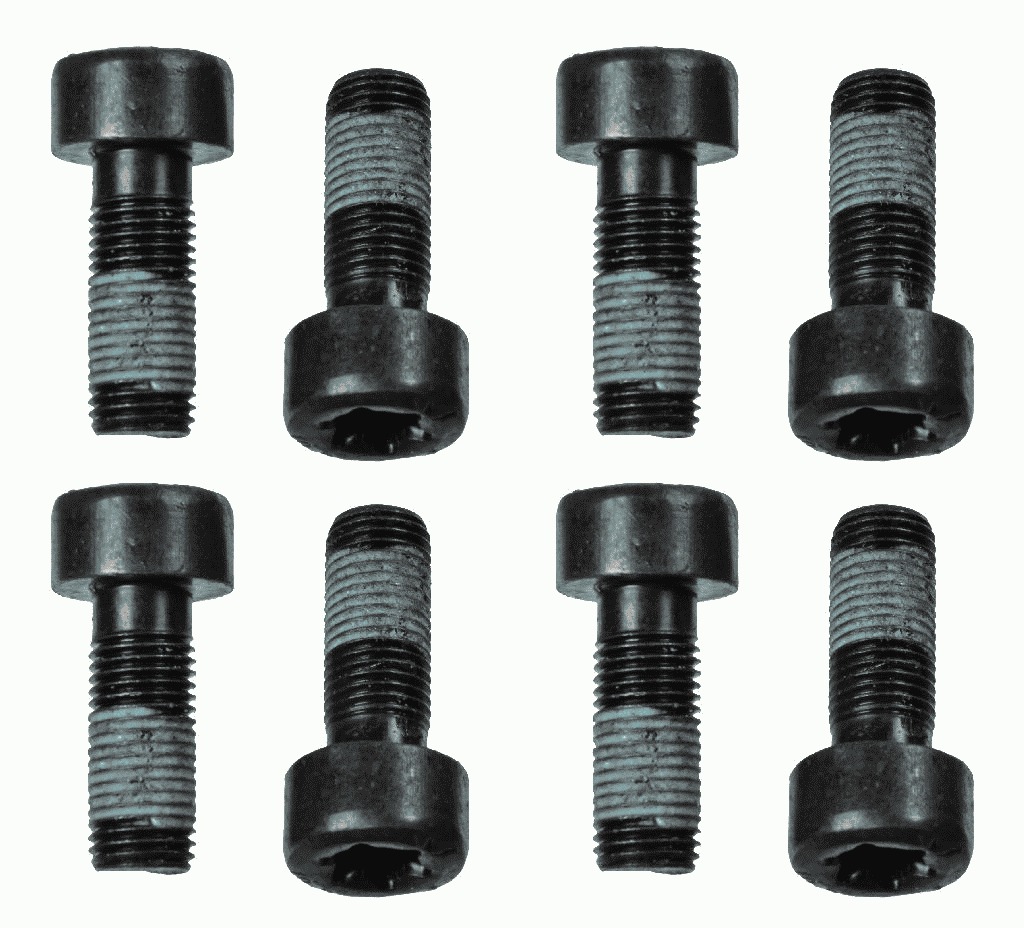 Screw Set, flywheel (8)  Art. 1874000060