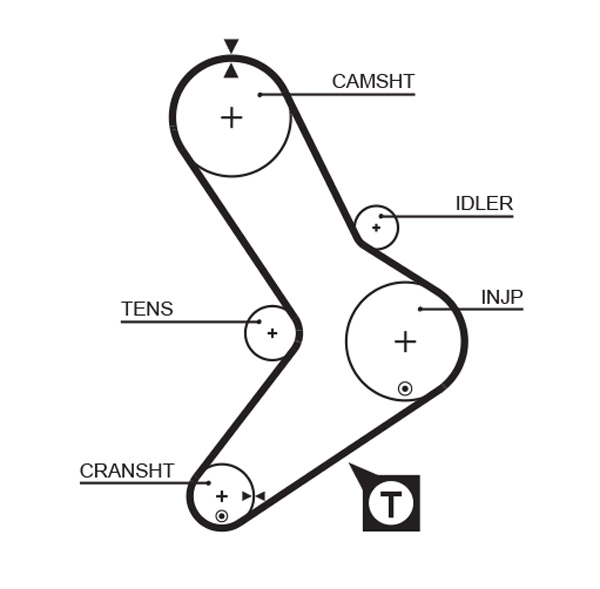 Timing Belt  Art. 5039