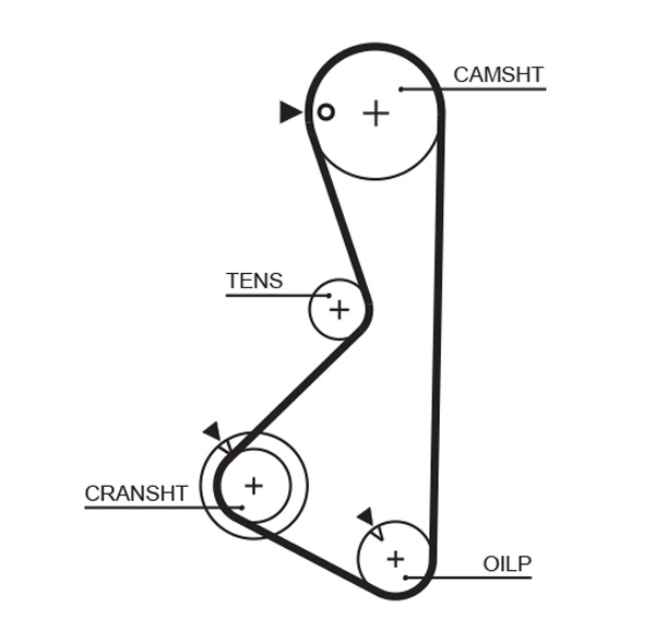 Timing Belt  Art. 5075XS