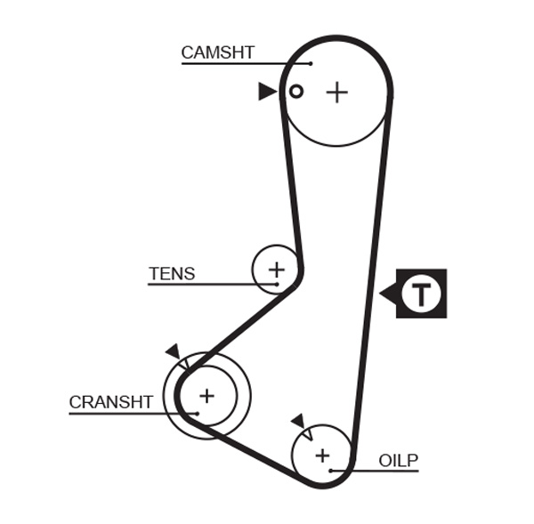 Timing Belt  Art. 5110