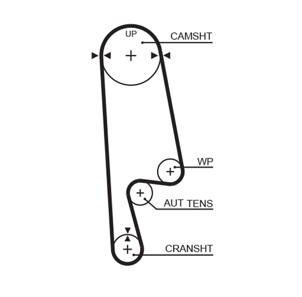 Timing Belt  Art. 5234XS