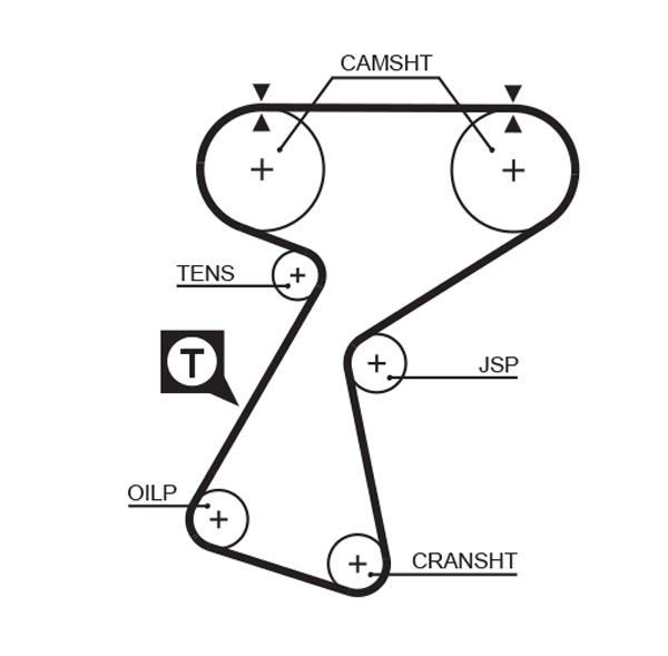 Timing Belt  Art. 5244XS