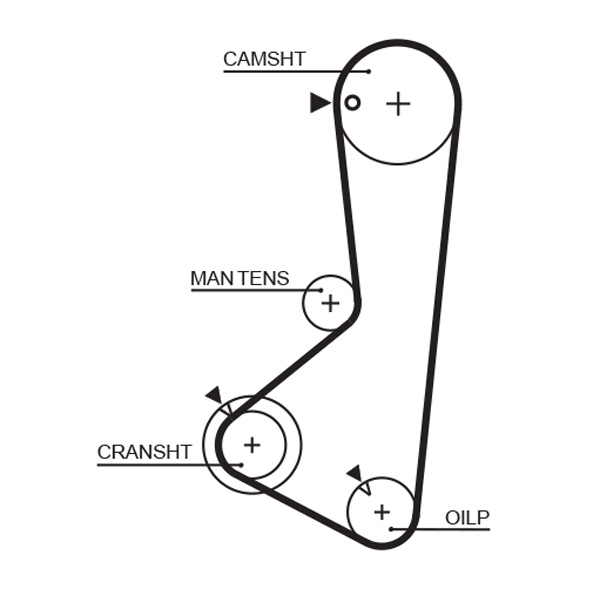 Timing Belt  Art. 1256RM