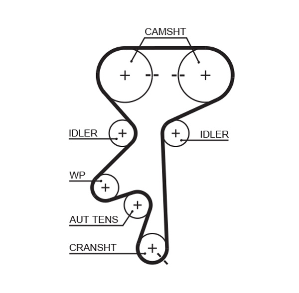 Timing Belt  Art. 5369XS