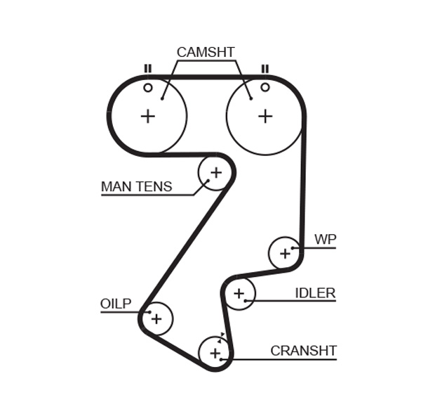 Timing Belt  Art. 5404XS