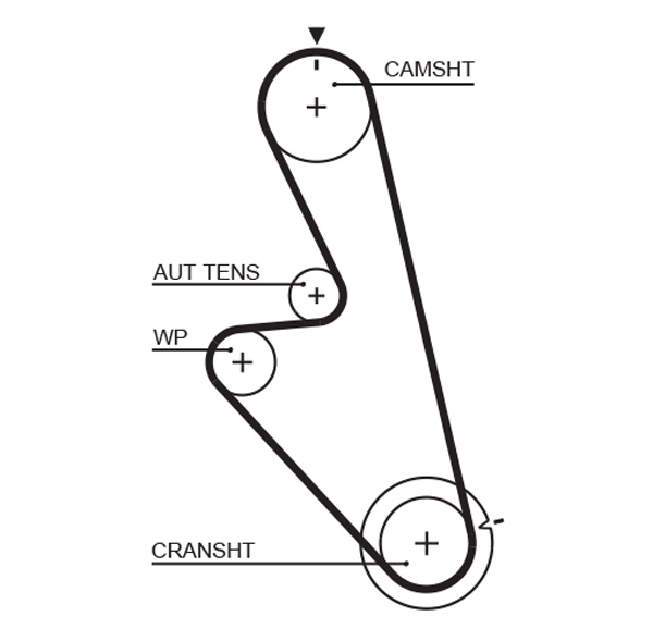 Timing Belt  Art. 5449