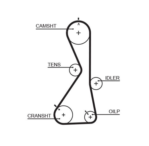 Timing Belt  Art. 5481XS