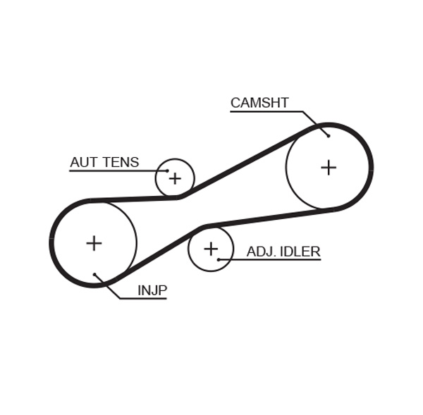 Timing Belt  Art. 5494XS