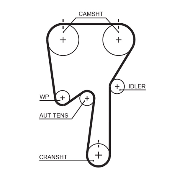 Timing Belt  Art. 5509XS