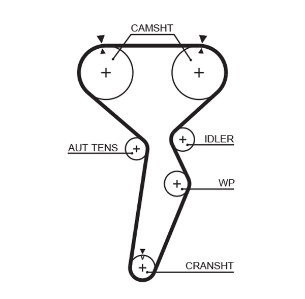 Timing Belt  Art. 5514XS