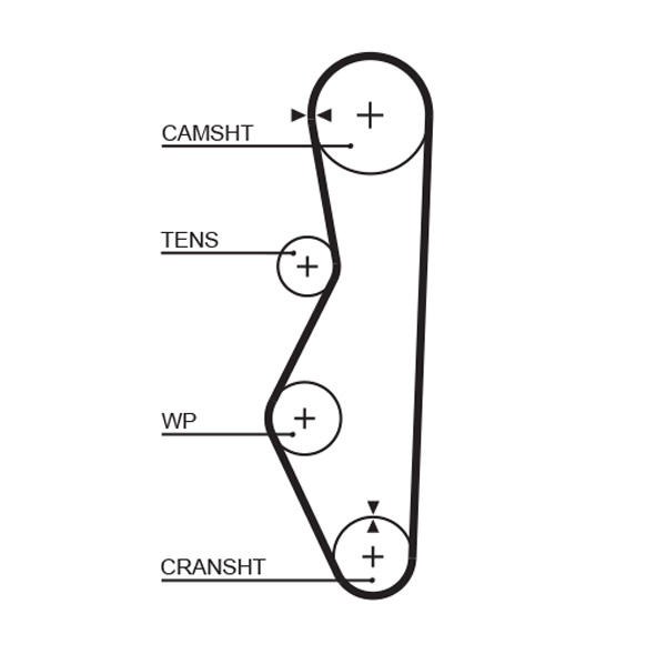 Timing Belt (111)  Art. 5521XS