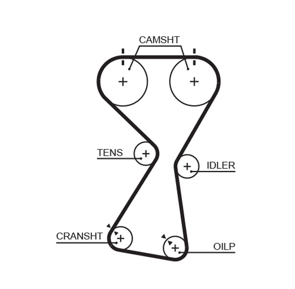 Timing Belt  Art. 5534XS