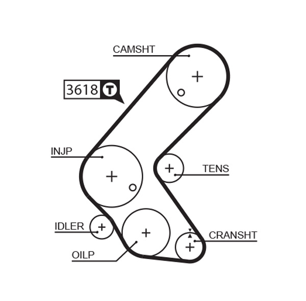 Timing Belt  Art. 5563XS