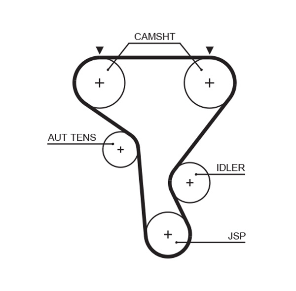 Timing Belt  Art. 5573XS