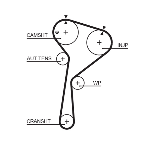 Timing Belt  Art. 5578XS