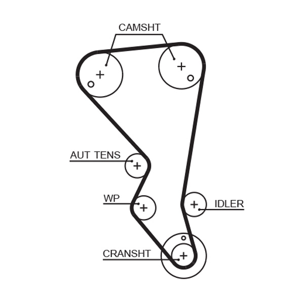 Timing Belt  Art. 5599XS