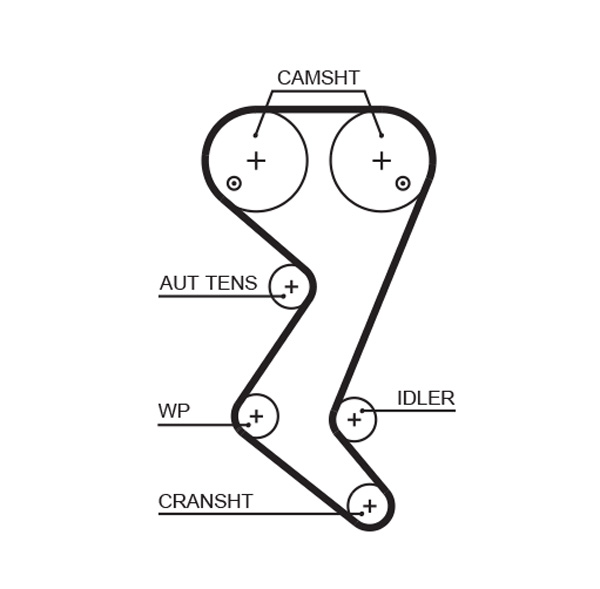 Timing Belt  Art. 5608XS