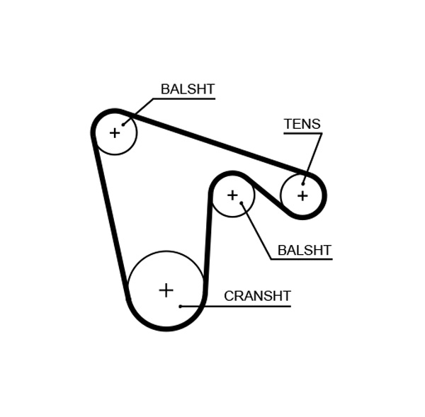 Timing Belt  Art. 5619XS