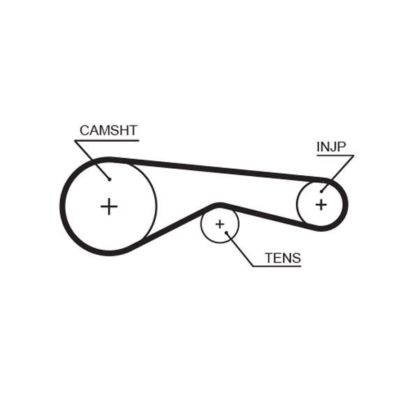 Timing Belt  Art. 5625XS