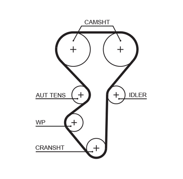 Timing Belt  Art. 5631XS