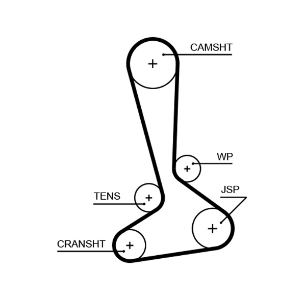 Timing Belt  Art. 5645XS