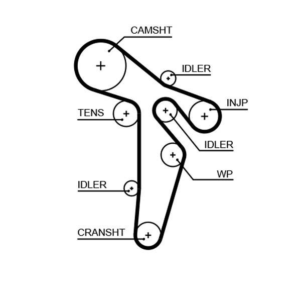 Timing Belt  Art. 5649XS