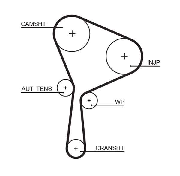 Timing Belt  Art. 5654XS