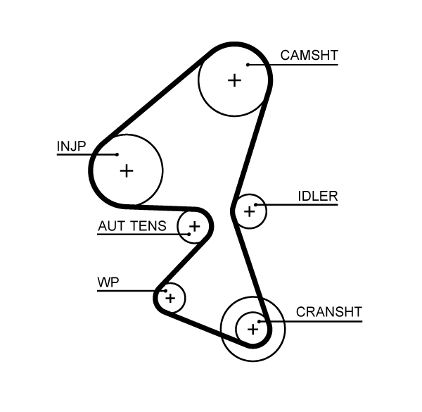 Timing Belt  Art. 5656XS